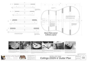 Collings DS2H V-Brace Guitar, Back View, Back Braces