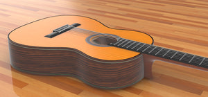 Hermann Hauser 1937 Classical Guitar, Overall View 2