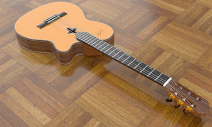 Sand Rosewood Fleur-de-lis Nylon Electric Guitar, Overall View
