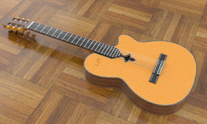 Sand Rosewood Fleur-de-lis Nylon Electric Guitar, Overall View 3