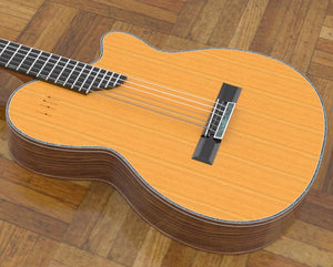 Electric Nylon Guitar Plans - Sand Rosewood