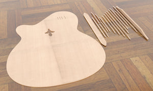 Sand Rosewood Fleur-de-lis Nylon Electric Guitar, Top Plate & Top Braces Linear