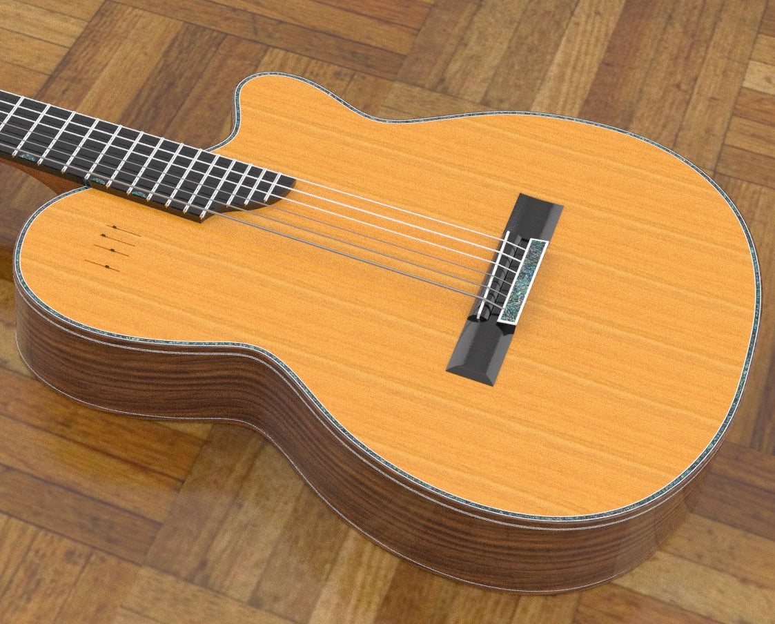 Electric Nylon Guitar Plans - Sand Rosewood